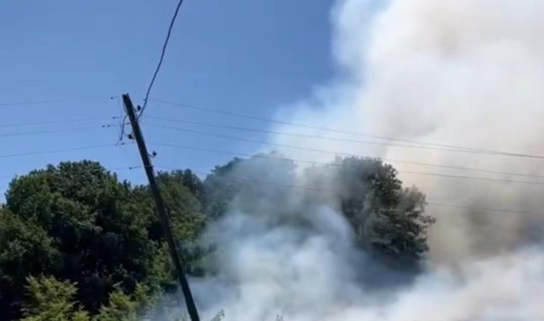 Bahçede çıkan yangın ormana sıçradı Düzce’de bahçede çıkan yangın rüzgarın etkisiyle ormana sıçradı. Yangında itfaiye