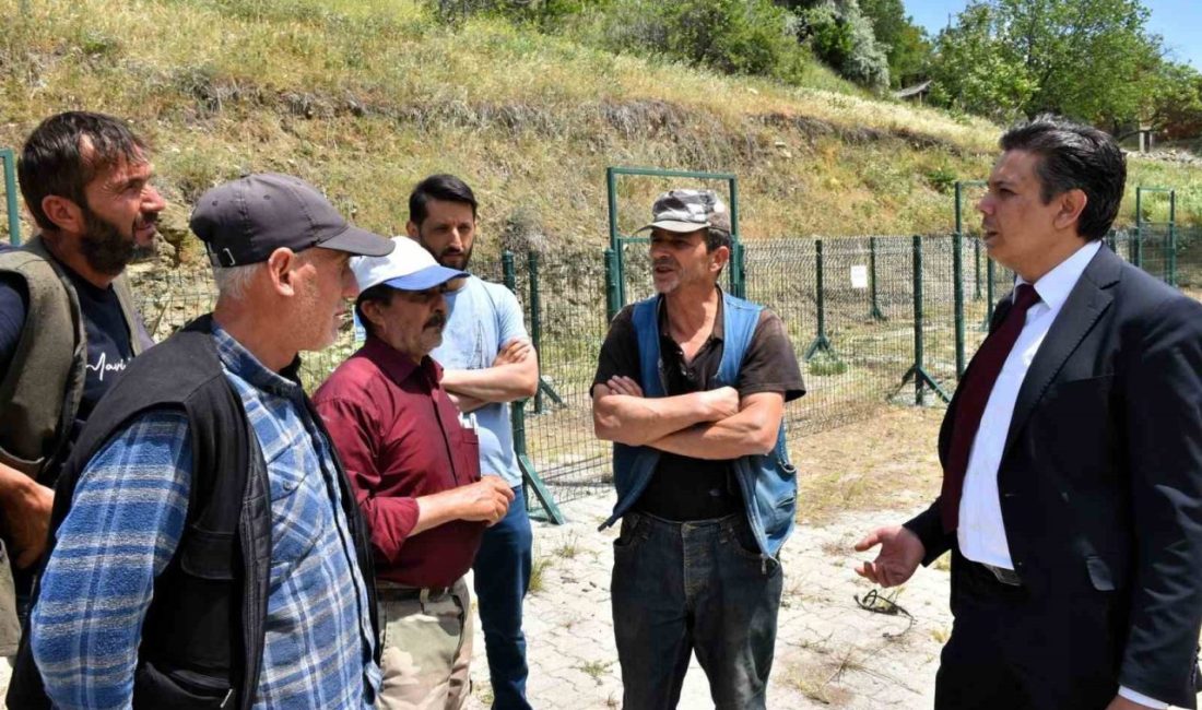 Başkan Durgut’tan hayvan pazarında Kurban Bayramı öncesi inceleme Söğüt Belediye Başkanı Ferhat Durgut, yaklaşan Kurban Bayramı öncesinde hayvan