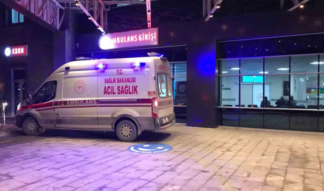 Bilecik’te 186 acemi kasap hastanelik oldu Bilecik’te 4 günlük Kurban Bayramı boyunca 186 kişi kesi ve