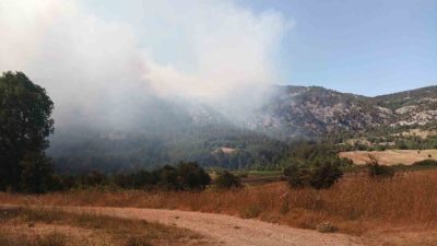 Bilecik’in Gölpazarı ilçesinde başlayan orman yangını rüzgarın etkisiyle hızla büyürken,