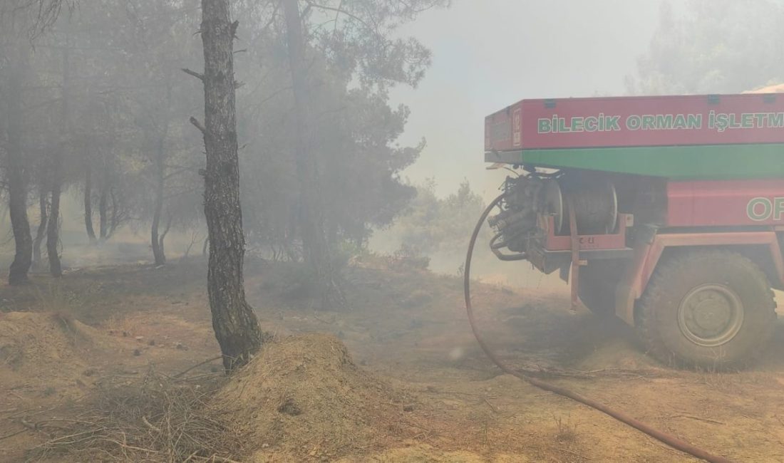 Bilecik’te buğday tarlasında çıkan yangın ormanlık alana sıçradı Bilecik’in buğday tarlasında çıkan ve ormanlık alana sıçrayan yangın kontrol