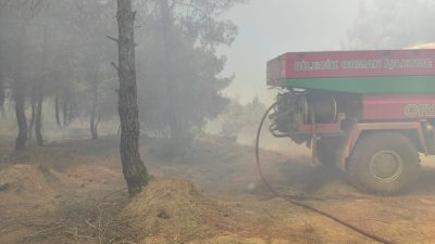 Bilecik’in buğday tarlasında çıkan ve ormanlık alana sıçrayan yangın kontrol