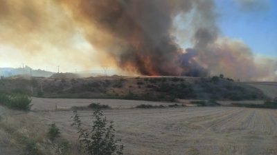 Bilecik’te çıkan orman yangınını kontrol altına almak için çalışmalar sürerken,