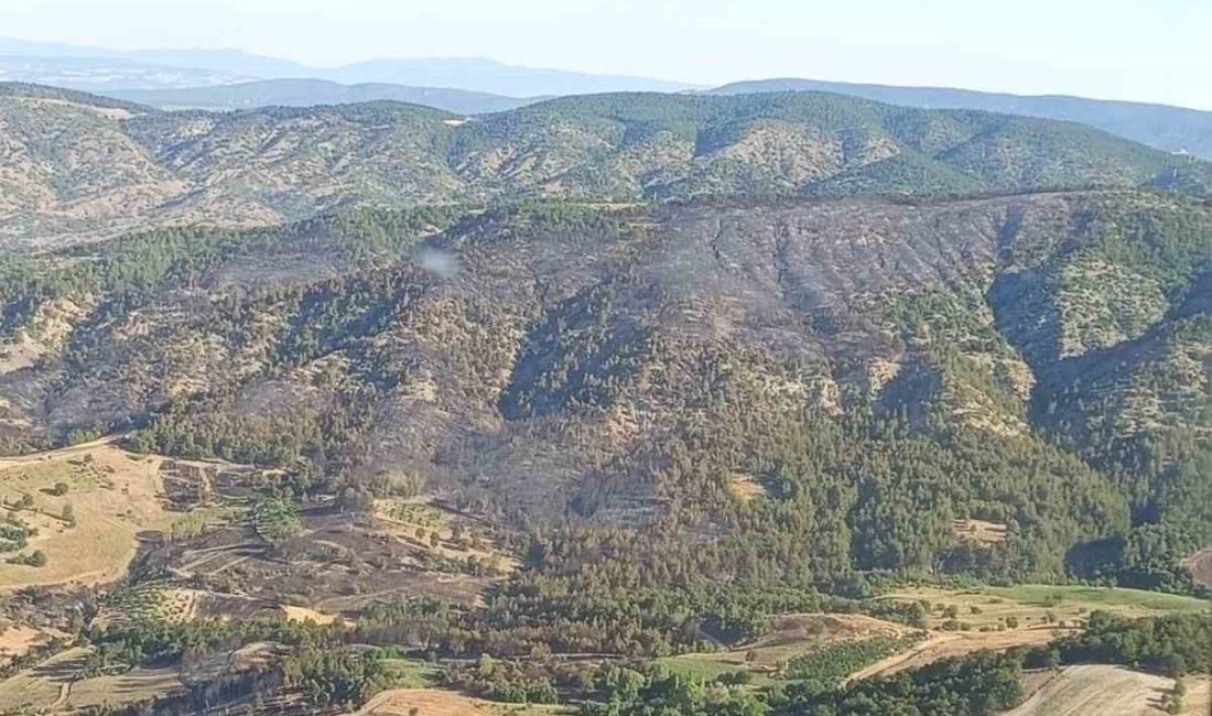 Bilecik’te dün çıkan orman yangını kontrol altına alındı Bilecik’in Gölpazarı ilçesinde dün başlayan orman yangını bugün itibariyle tamamen