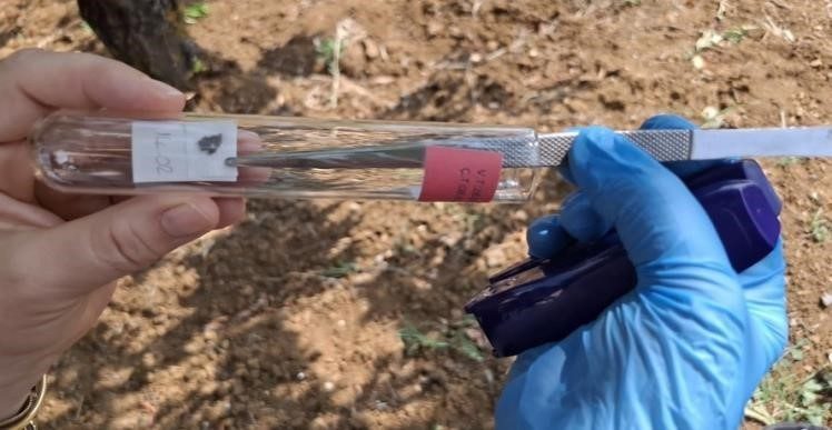 Bilecik İl Tarım ve Orman Müdürü Necmettin Yoldaş, il genelinde