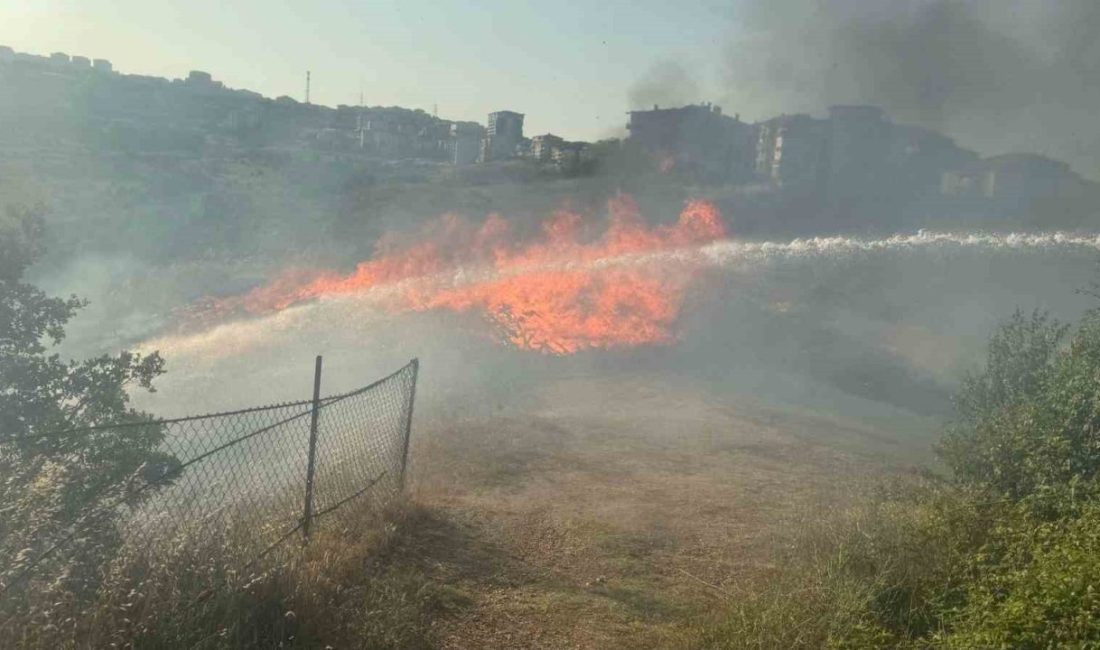 Bilecik’te otluk alanda çıkan yangın söndürüldü Bilecik’te bir otluk alanda çıkan yangın itfaiye ekiplerince büyümeden söndürüldü.