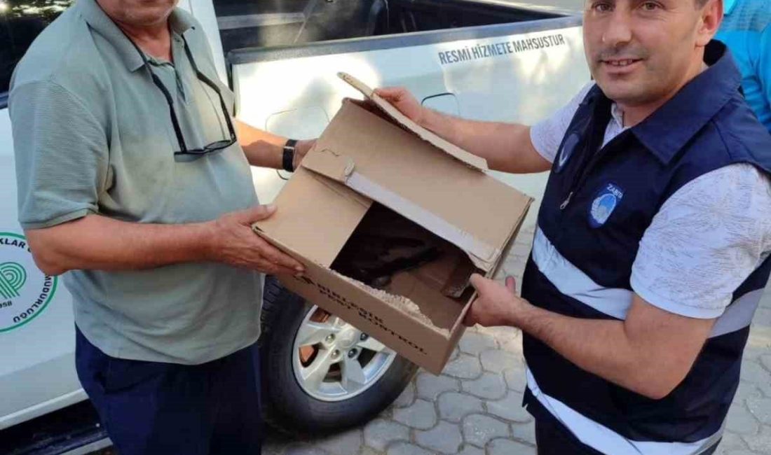 Bilecik’te yaralı olarak bulunan atmaca koruma altına alındı Bilecik’te bir vatandaşımızın bahçesinde yaralı olarak bulduğu atmaca koruma altına