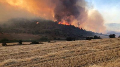 Bilecik’te tarlada başlayıp ormanlık alana yayılan, NATO tesisi ve bir