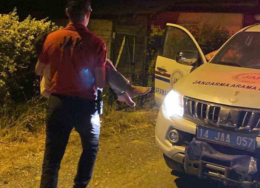 Bolu’da engelli kız çocuğu ormanda kayboldu: 4 saat sonra bulundu Bolu’da Kütüklü Yaylası’nda ailesiyle piknik yaptığı esnada ormanda kaybolan 8