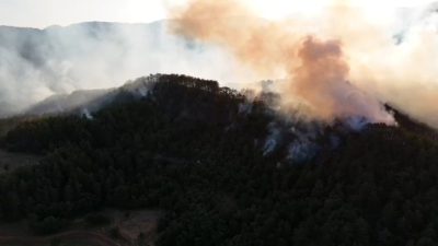 Bolu’nun Göynük ilçesinde ormanlık alanda çıkan yangına müdahale sürerken, yanan