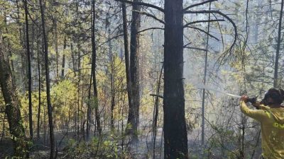 Bolu’da elektrik direğinden çıktığı belirlenen yangın ormanlık alana sıçradı. Ekiplerin