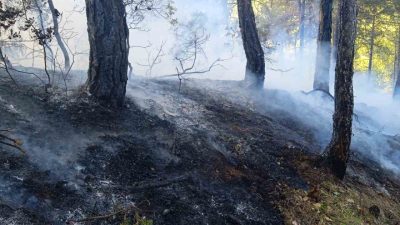 Bolu’nun Mudurnu ilçesine ormanlık alanda çıkan örtü yangını, ekiplerin müdahalesiyle