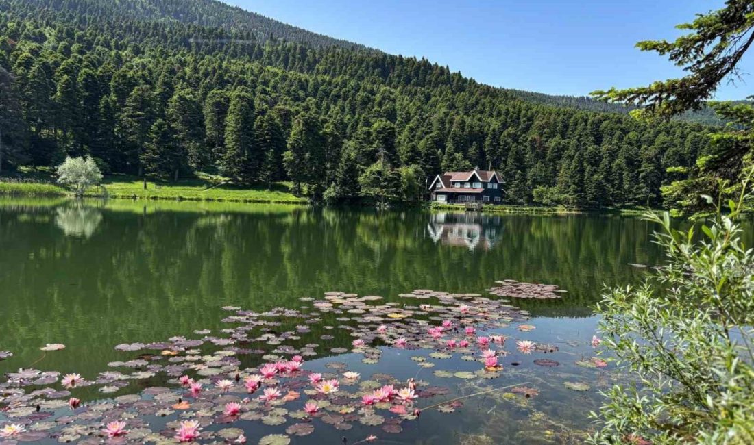 Bolu Valiliği, orman yangınları riskine karşı il genelinde ormanlık alanlara