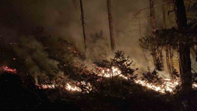 Bolu’nun Göynük ilçesinde çıkan orman yangını 8 saatte kontrol altına