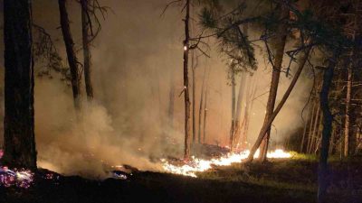 Bolu’nun Göynük ilçesinde öğle saatlerinde başlayan orman yangını gece saatlerinde