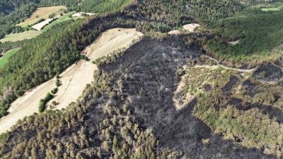 Bolu’nun Göynük ilçesinde ormanlık alanda çıkan yangında kül olan 25