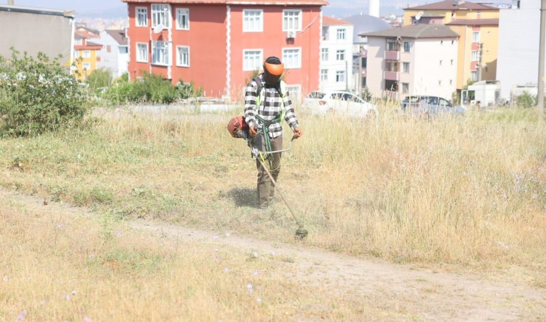 Boş arazilerdeki otlar biçiliyor Çayırova Belediyesi Park ve Bahçeler Müdürlüğü’ne bağlı ekipler, ilçe genelindeki