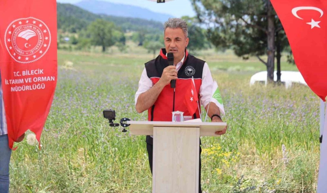 Bozüyük’te ‘Pelemir Bitkisi’ tanıtım günü düzenlendi Bilecik’in Bozüyük ilçesine bağlı Muratdere Köyü’nde alternatif tarım ürünlerini tanıtmak