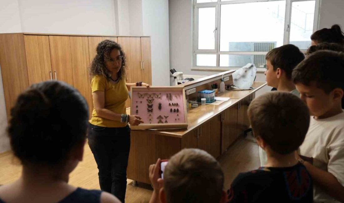 Büyük bir ilgiyle böceklerin dünyasını tanıdılar Düzce Bilim ve Sanat Merkezi öğrencileri, Düzce Üniversitesi Ziraat Fakültesi
