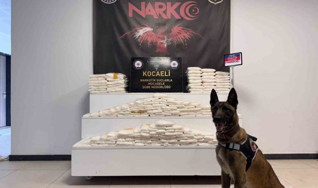 Kocaeli TEM Otoyolu’nda narkotik köpeği ile cipte yapılan aramada zulalanmış