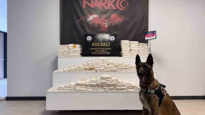 Kocaeli TEM Otoyolu’nda narkotik köpeği ile cipte yapılan aramada zulalanmış
