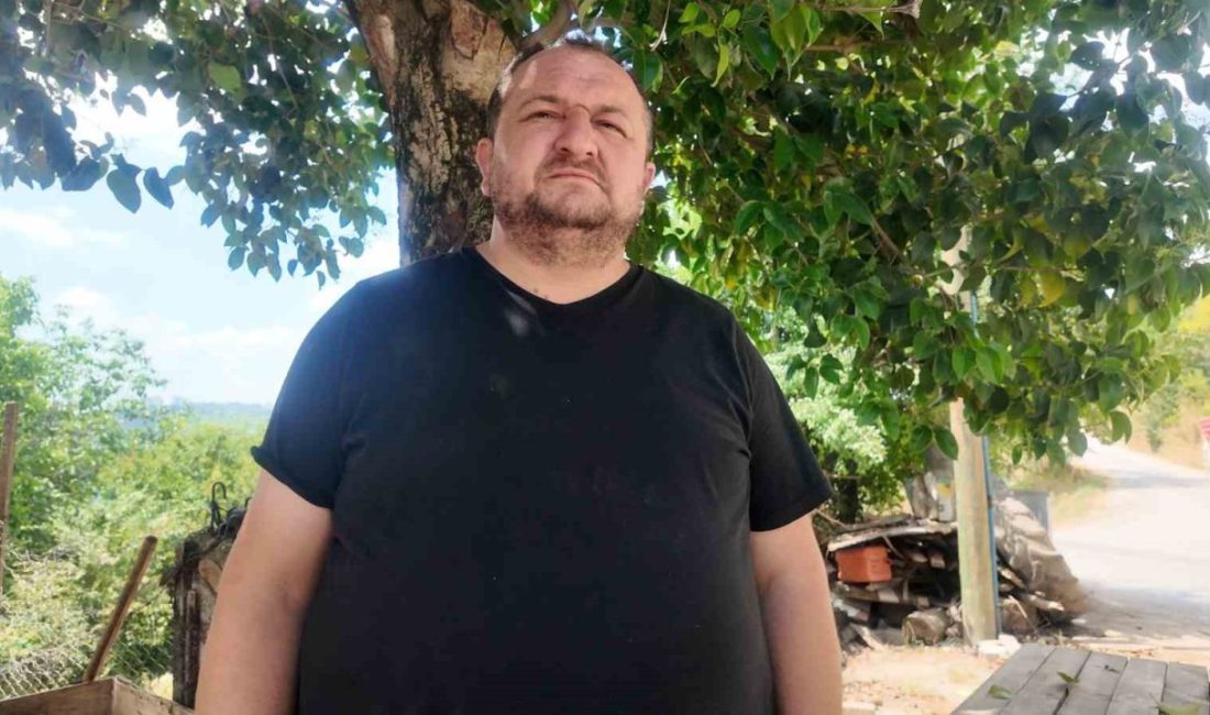 Kurban Bayramı öncesi adeta çöplük alana atılan hayvan satıcıları, İzmit