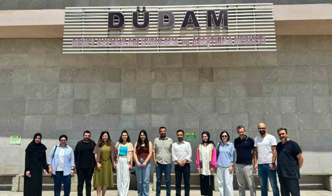 DÜDAM seminer günlerinin altıncı oturumu gerçekleştirildi Düzce Üniversitesi Deney Hayvanları Uygulama ve Araştırma Merkezi (DÜDAM) tarafından
