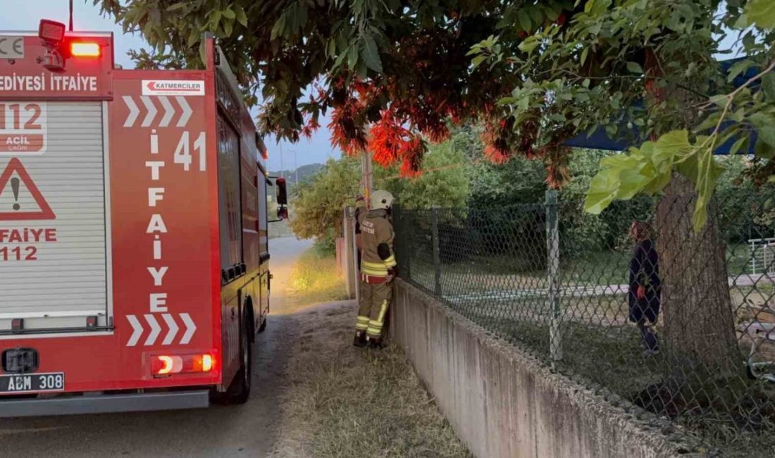 Duman itfaiyeyi harekete geçirdi Düzce’de yol üzerinde dumanları görerek anız yangını olabileceğini düşünen ekipler,