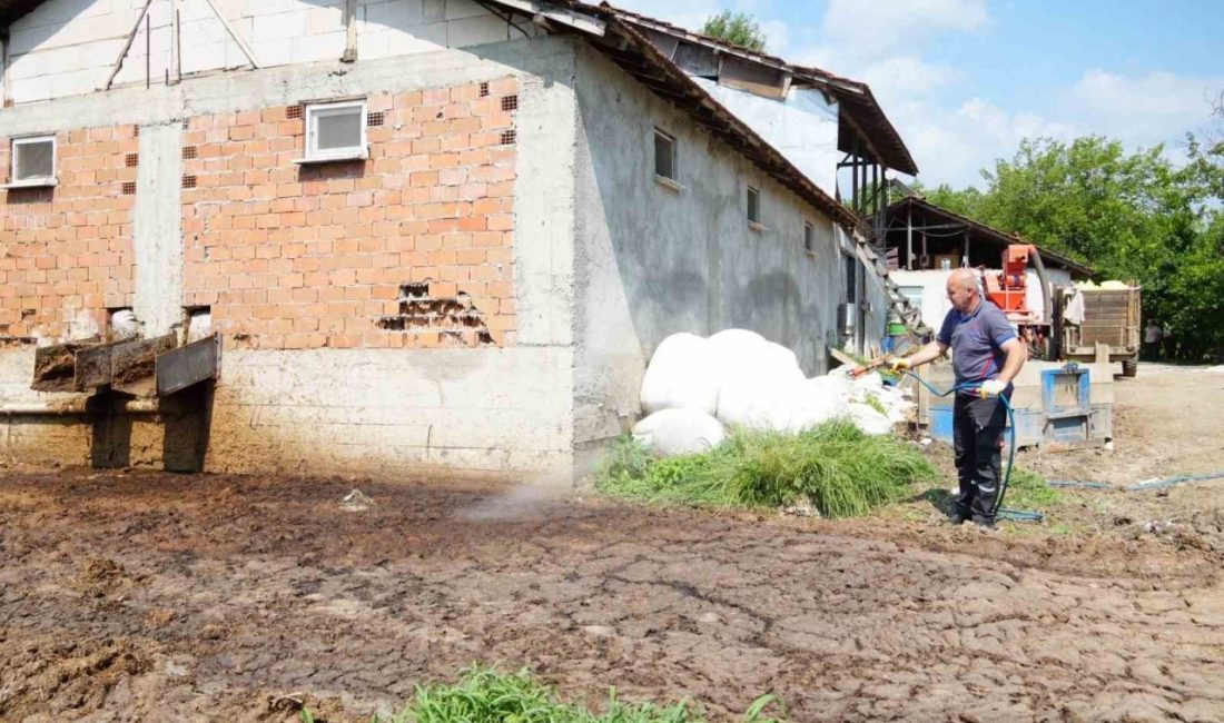 Düzce Belediyesi, yaz aylarında artan sivrisinek ve karasinek popülasyonuna karşı