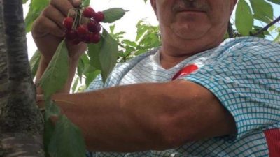 DÜZCE (İHA) – Düzce’nin Akçakoca ilçesinde elektrik akımına kapılan 1