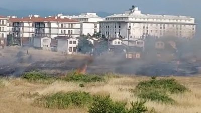 Düzce’de elektrik tellerine kuş çarpınca, evlerin bahçesinde yangın çıktı. Yangın