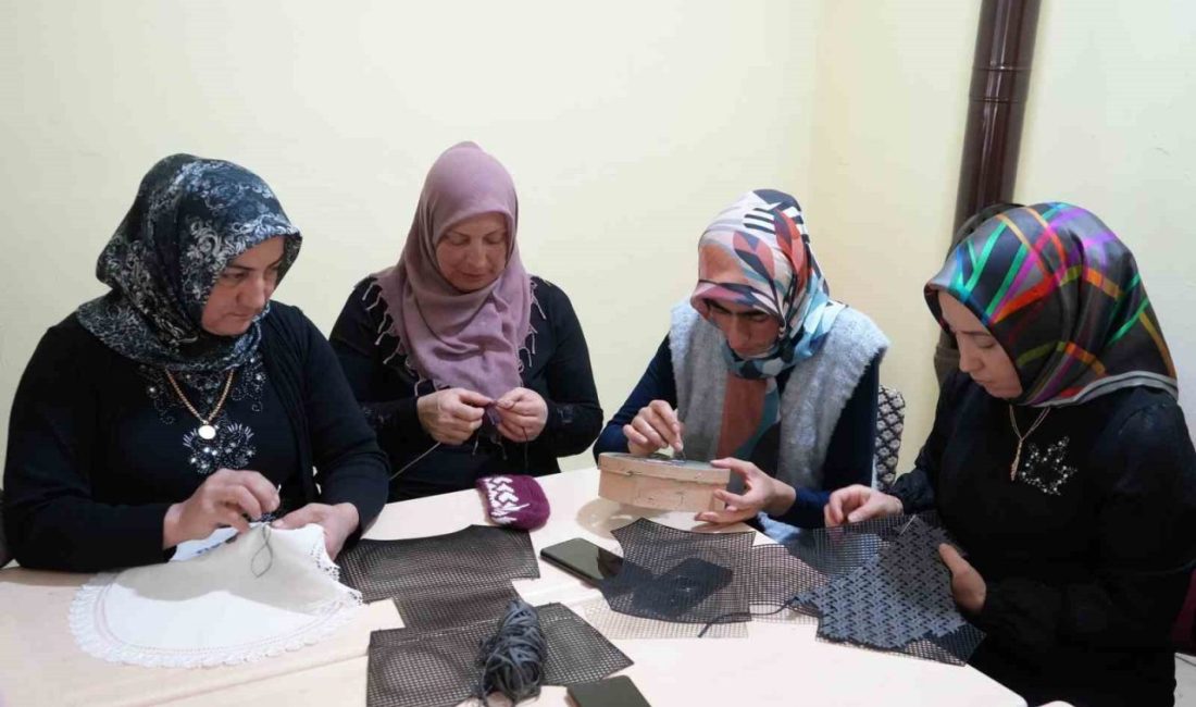 Kastamonu’nun Taşköprü ilçesine bağlı Çetmi köyünde açılan kursta kendilerini geliştiren