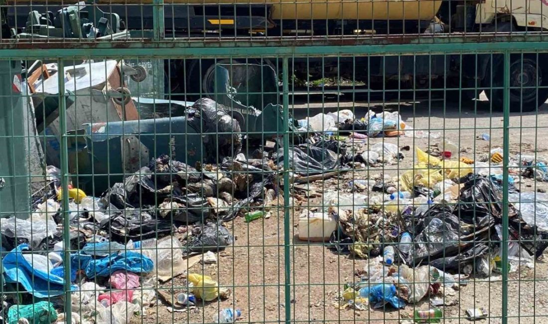 Fıkra değil gerçek İzmit Belediyesi Temizlik İşleri Müdürlüğü adeta çöplüğe döndü. Görüntüyü görenler,