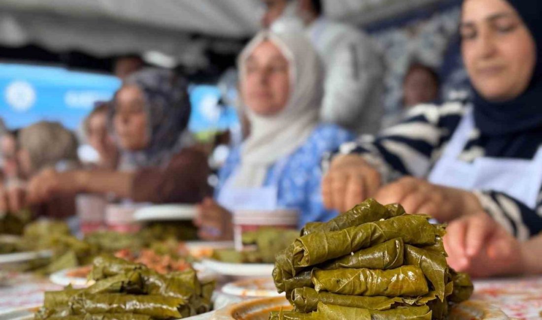 Kocaeli’de yöresel lezzetlerin yarıştığı Kartepe Gastronomi Festivali’nde hem damaklar hem