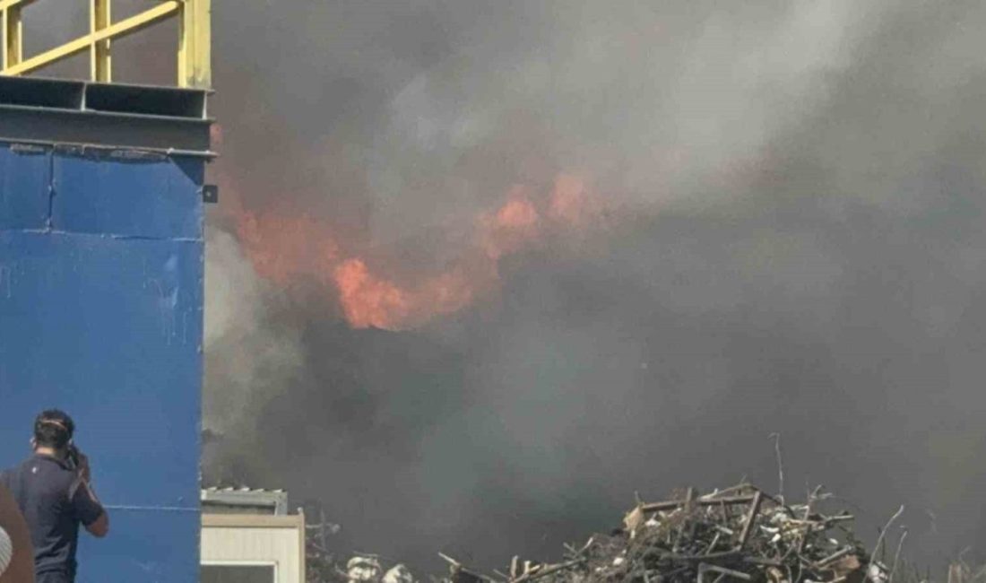 Gebze’de hurda sahasında yangın çıktı Kocaeli’nin Gebze ilçesinde hurda sahasında çıkan yangına ekiplerin müdahalesi sürüyor.