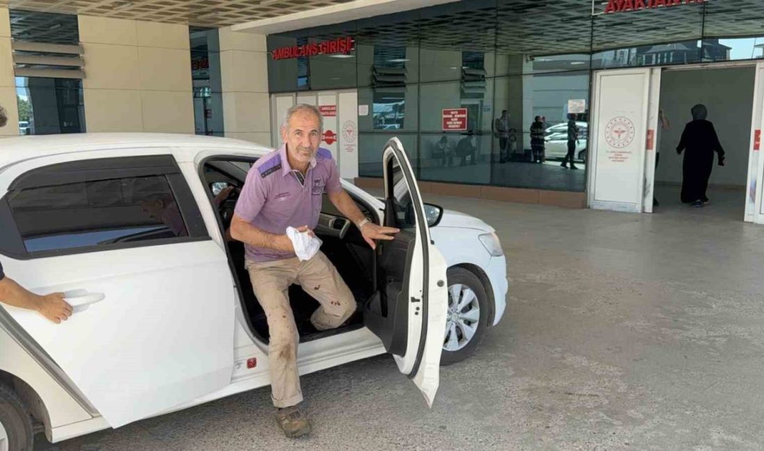 Düzce’de kurban kesmeye çalışırken yaralanan 27 kişi, sabah saatlerinden itibaren