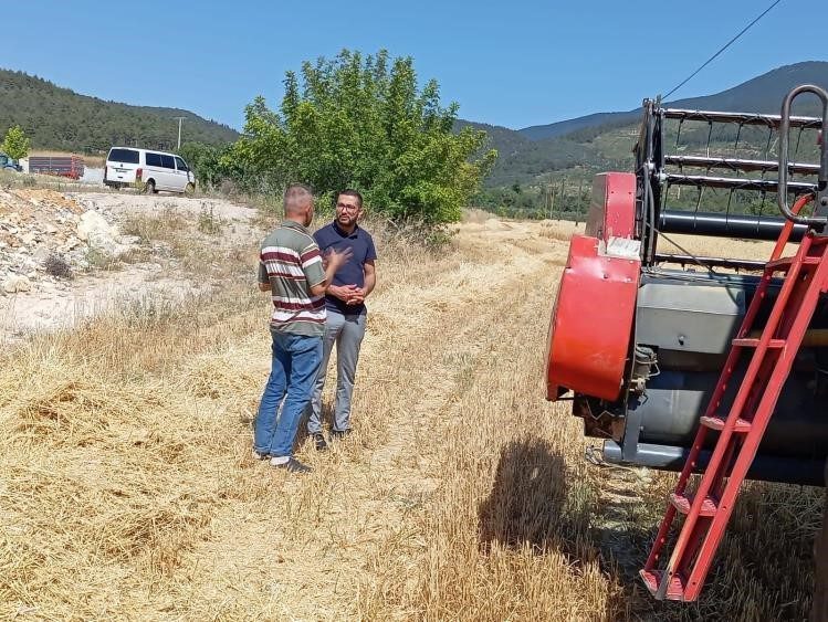 Gölpazarı’nda hasat ve biçerdöver denetimleri sürüyor Gölpazarı İlçe Tarım ve Orman Müdürlüğü ekipleri, biçerdöver ve hasat