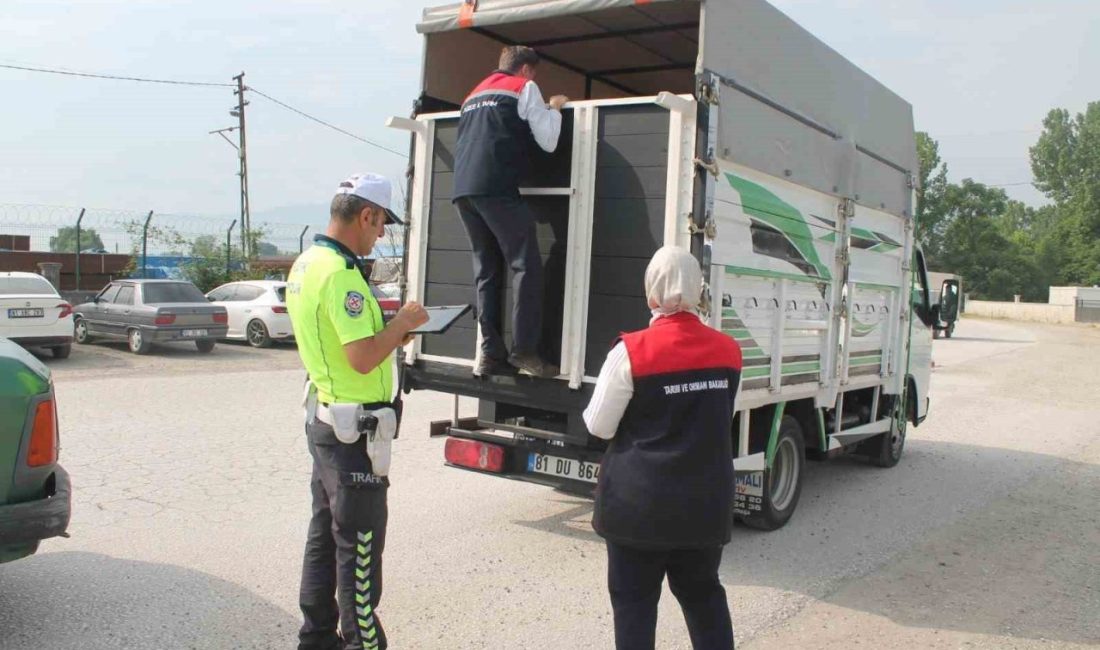 Hayvan pazarında sıkı denetim Düzce Tarım ve Orman İl Müdürü Esra Uzun başkanlığındaki ekip
