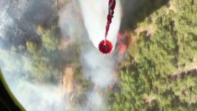 Sakarya’nın Taraklı ilçesinde çıkan ve Bilecik’e sıçrayan orman yangını 24