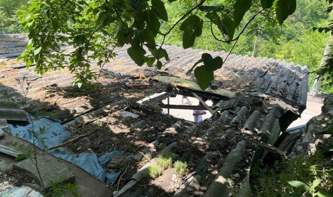 İpini koparan boğa 3 metre yükseklikten otomobilin üzerine düştü Kocaeli’nin İzmit ilçesinde ipini koparıp kaçan kurbanlık boğa, çıktığı garaj