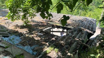 Kocaeli’nin İzmit ilçesinde ipini koparıp kaçan kurbanlık boğa, çıktığı garaj