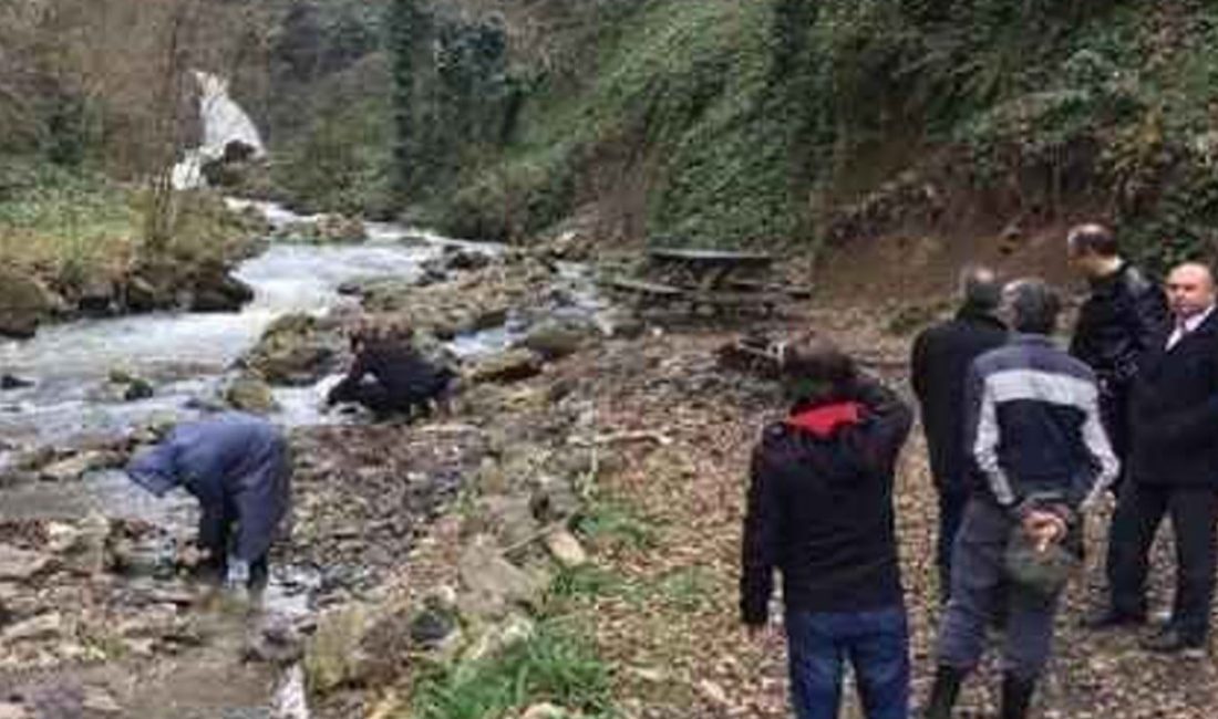 Sakarya’nın Akyazı ilçesinde 2 kaynaktan su alma yetkisi verilmesine rağmen