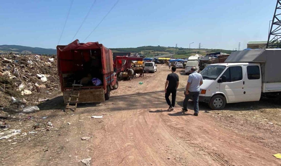 Kocaeli’nin İzmit ilçesinin köylerinden gelen satıcılara belediye çöplük alanda ver