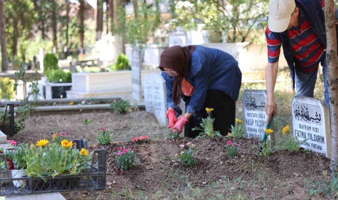 Kabirlere dikilmek amacıyla binlerce çiçek dağıtıldı Kocaeli Büyükşehir Belediyesi, arefe günü il genelindeki mezarlıkları ziyarete eden