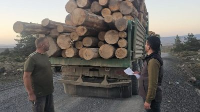 Bolu’nun Merkez ve Gerede ilçelerinde kaçak ağaç kesimi yaptıkları belirlenen