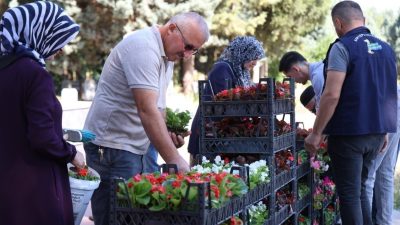 Kartepe Belediyesi, ilçedeki mezarlıklarda hem temizlik hem de çiçek dağıtımı