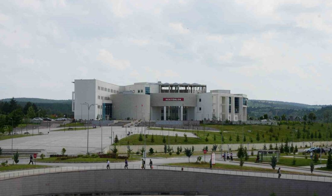 Kastamonu Üniversitesi, Times Higher Education etki sıralamasında yer aldı Kastamonu Üniversitesi, dünyanın saygın üniversite derecelendirme kuruluşlarından biri olan Times