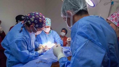 Kastamonu Üniversitesi Veteriner Fakültesi Hayvan Hastanesi’nde 2025 yılının ilk 5