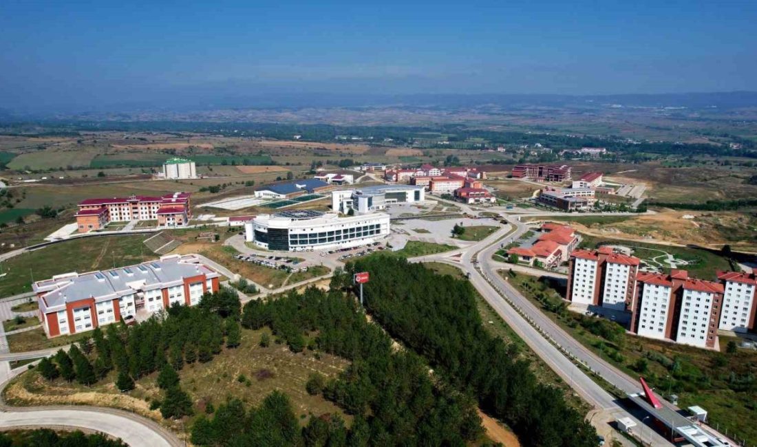 Kastamonu Üniversitesi’nde iki programa daha “TYÇ” logosu Kastamonu Üniversitesi’nde iki program daha “Türkiye Yeterlilikler Çerçevesi” logosu aldı.