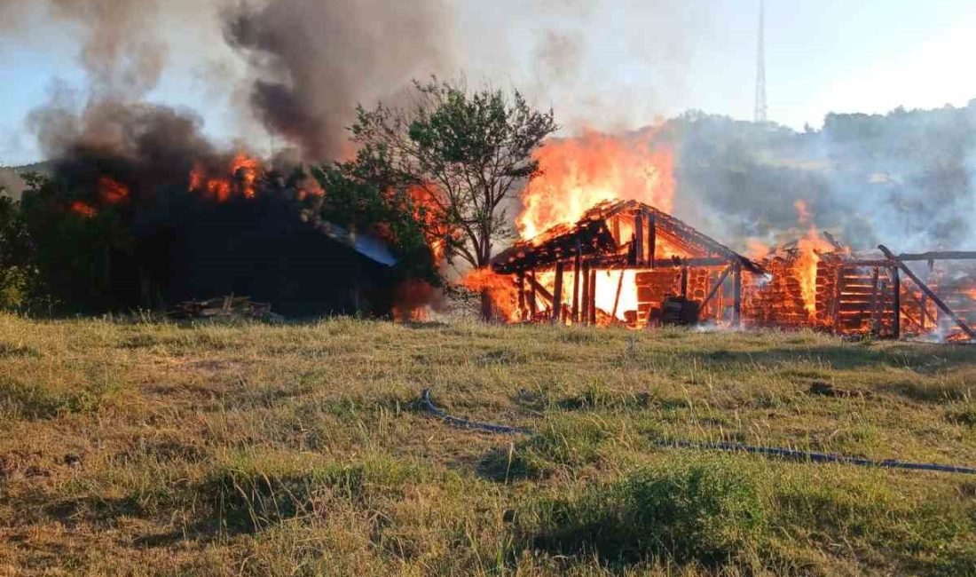 Kastamonu’da 3 samanlık ile odunluk ve garaj yandı Kastamonu’nun Daday ilçesinde çıkan yangında 3 samanlık ile odunluk ve